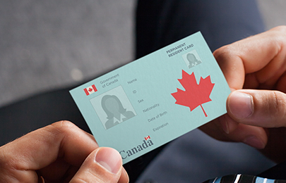 Canadian Maple Leaf Card (PR Card) Must Be Updated Every Five Years, Which Can Be Updated Online