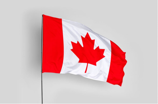 Immigration Canada: What Is The Difference Between Maple Leaf Card And Naturalization? Interpretation