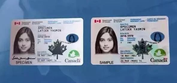 Maple Leaf Card Related Questions And Answers: Full Analysis Of Nature, Validity, Processing, Etc.