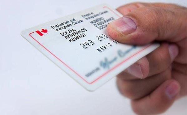 Canadian Gongca (SIN Card): A Must -have For Tax Reporting And Application Guidelines For New Immigration Work