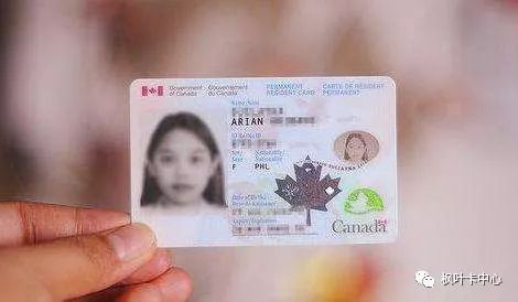 Maple Leaf Reform Card_When Leaf Card Update_How How long does it take to update Maple Leaf Card? How long is the maple leaf card? Times