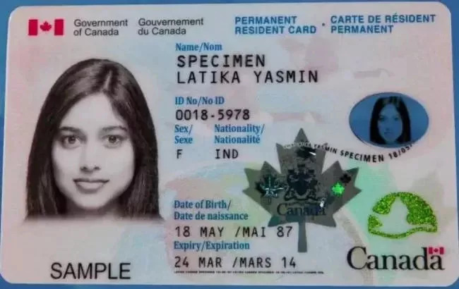 The latest policy of changing maple leaf cards The latest policy of the card Maple Leaf Card Change Card