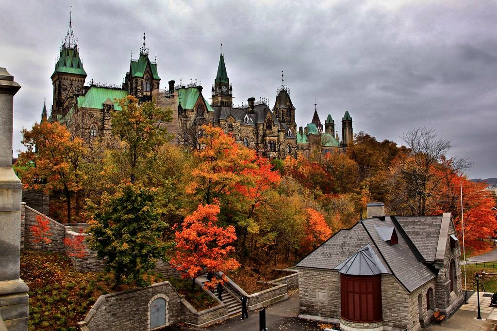 Canadian Maple Leaf Card Encyclopedia