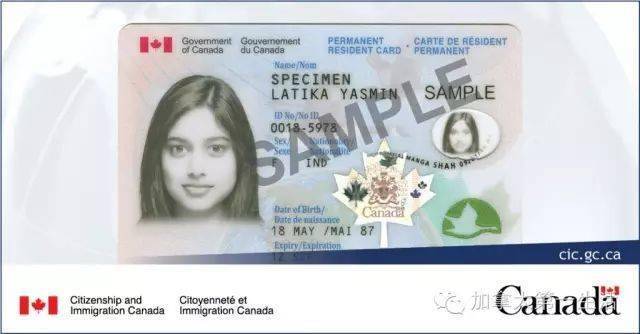 There Are Green Cards In The United States And A Maple Leaf Card To Understand The Maple Leaf Card And Its Use