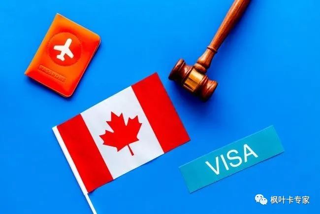 Keep the Maple Leaf Card_How to keep the Maple Leaf Card Card