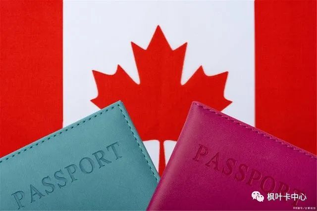 Maple Leaf Modification Card_Wple Leaf Card Update_What information needed for updating maple leaf cards