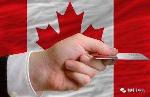 How to replace the Maple Leaf Card Card_Suting Maple Leaf Card