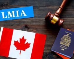 Methods And Related Business Processing For Abandoning Canadian Maple Leaf Card In Advance, As Well As Analysis Of The Impact Of Expiration