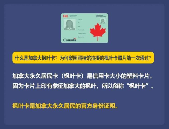 Conditions for obtaining maple leaf card_Give up maple leaf card_"Maple leaf card"