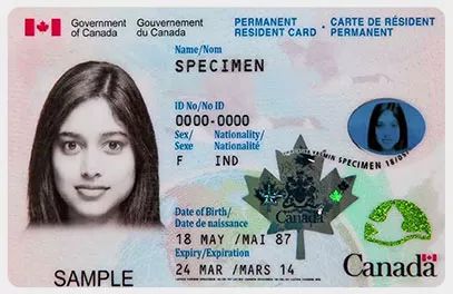 What materials are needed to replace the maple leaf card_Replace the maple leaf card