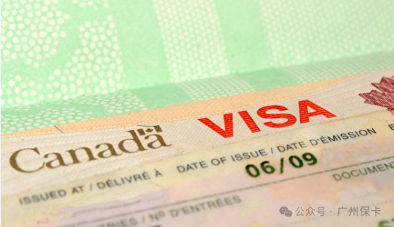 How long will it take to get a maple leaf card_Process of applying for a maple leaf card_Maple leaf card application