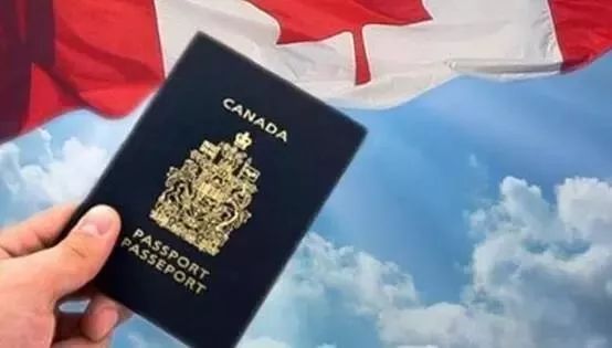 Canadian maple leaf card renewal regulations_How much is the Canadian maple leaf card worth_Canadian maple leaf card validity period